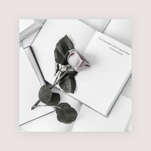 三级一级黄色电影
