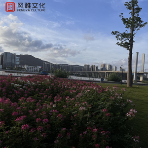 三级一级黄色电影
